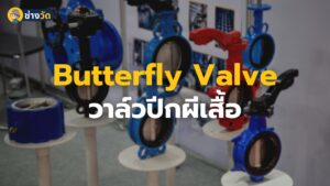 butterfly valve วาล์วปีกผีเสื้อ