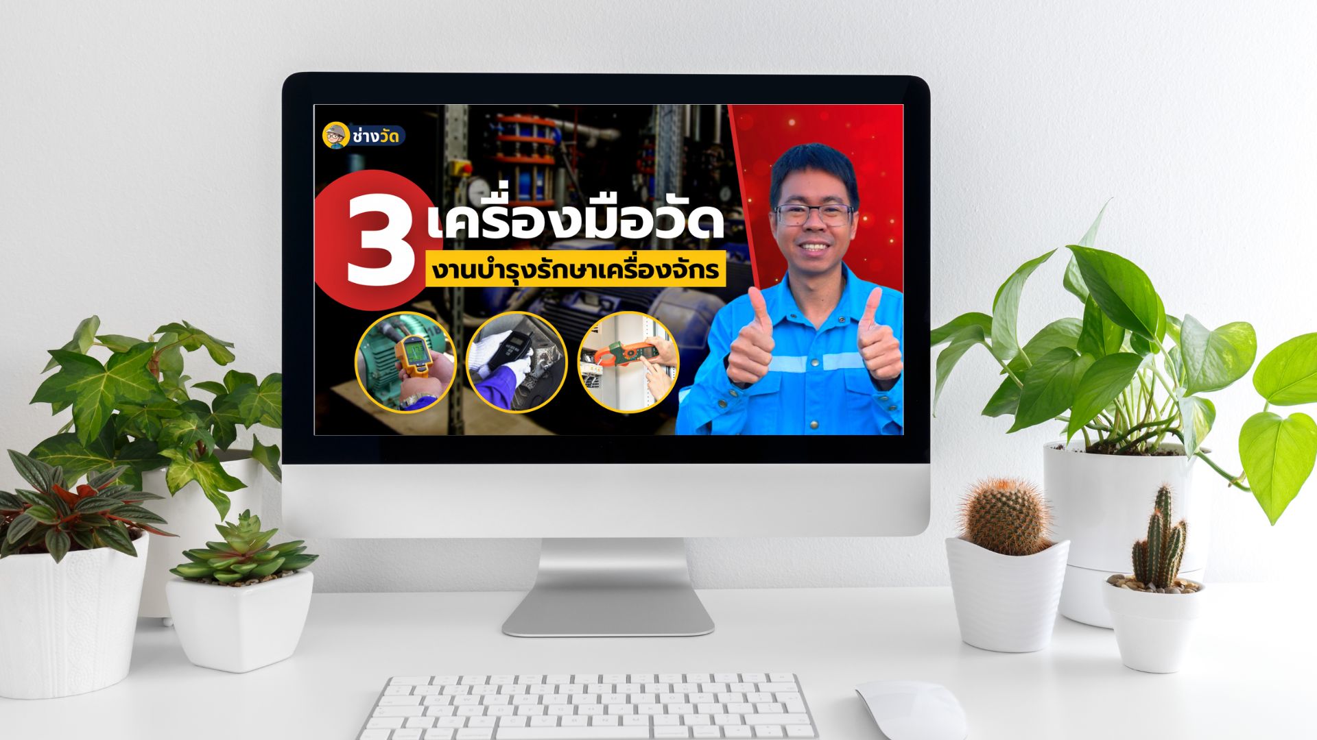 6 Influencer