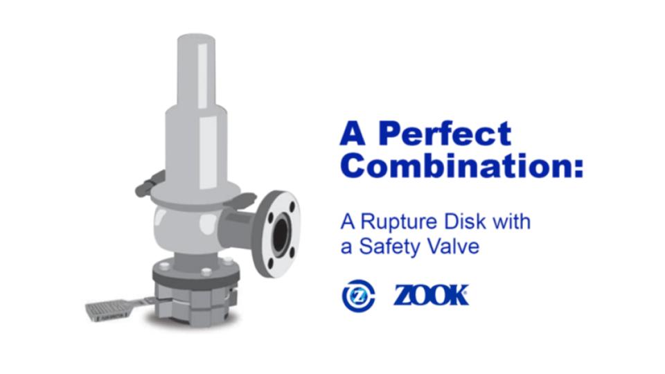 04 ZOOK คือแบรนด์ผู้ผลิต Rupture Disk
